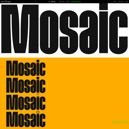 Maxitype | Mosaic