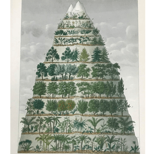 Botanique Générale (1850-1890) by Francois Herincq, Frederic Gerard & Oscar Reveil
