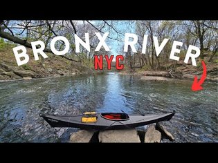 Urban Kayaking Adventure: 8 Miles on the Bronx River in NYC