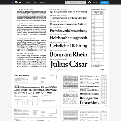 Schriftenkartei [Typeface Index], 1958–1971