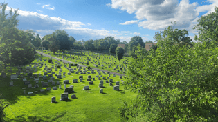St Mary's Cemetery 🪦