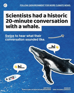 🐋 Follow @environment for more news on groundbreaking climate news and content. 

Researchers at the Whale-SETI institute co...