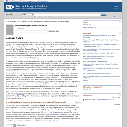 Molecular Motors - Molecular Biology of the Cell - NCBI Bookshelf