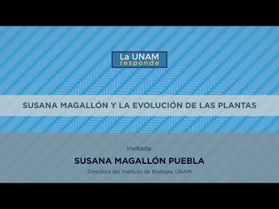 Susana Magallón y la evolución de las plantas. La UNAM responde 919