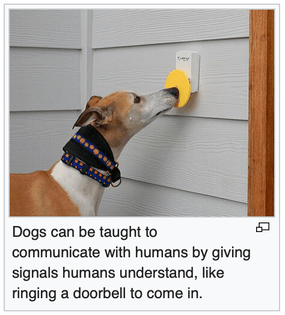 dog-doorbell.png