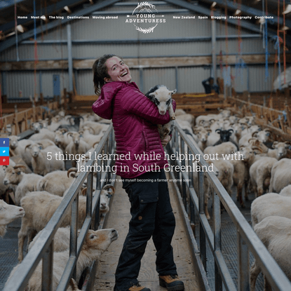 5 things I learned while helping out with lambing in South Greenland