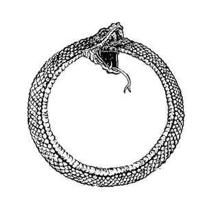 what-is-the-meaning-of-the-ouroboros-symbol-and-does-it-v0-k1pextzx73nb1.jpg?auto=webp-s=fc9ff21e55d88fa0010e1cb833ba6f74d8a...