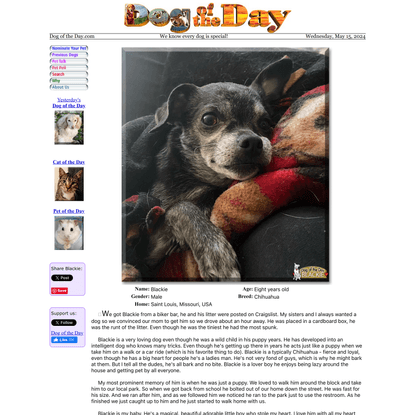 Dog of the Day - Every day a new dog photo and story since 1998.