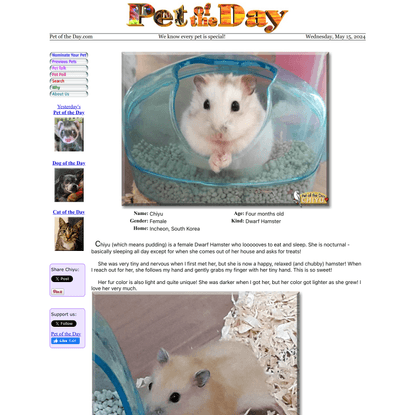 Pet of the Day - Every day a new pet photo and story since 1997
