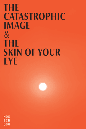 Bojkowski, Michael. 'The Catastrophic Image & The Skin of your Eye'. c.2020