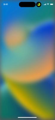 dynamic island