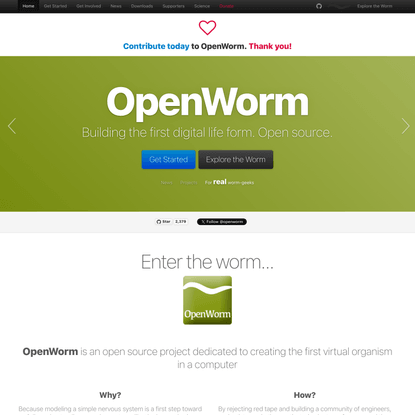 OpenWorm