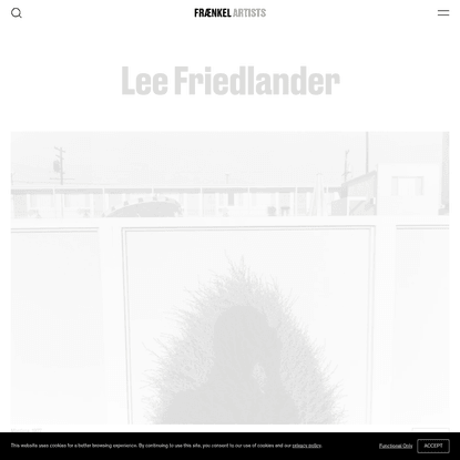 Lee Friedlander | Fraenkel Gallery