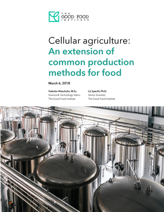 cellular-agriculture-for-animal-protein.pdf