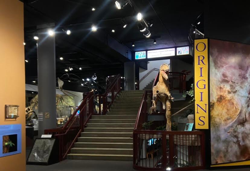 an image without description