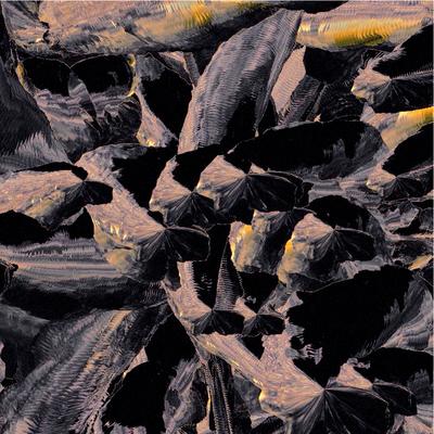 Aditi Srivastava — Digital artworks inspired by conversations with plants