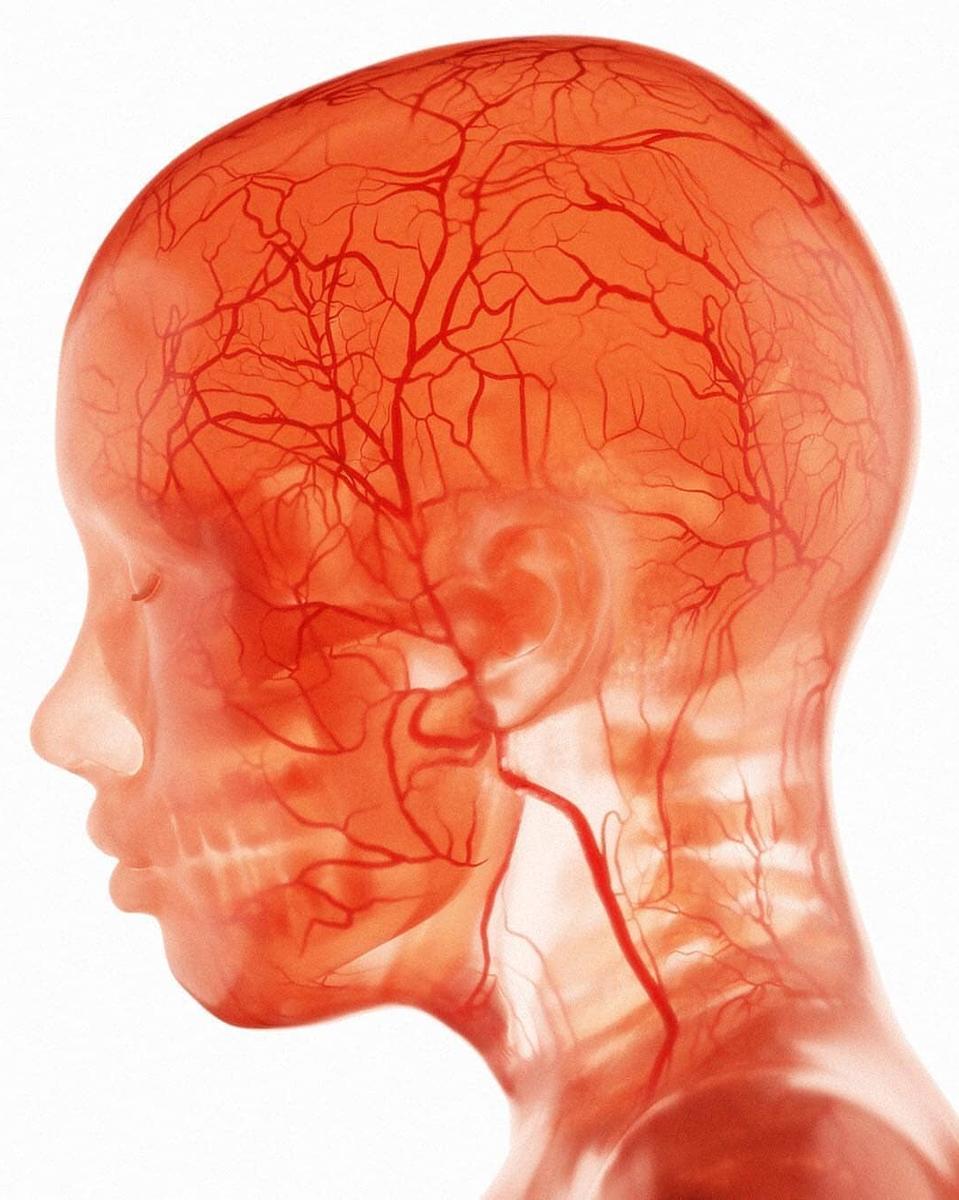 It's a Vibe - Image 4