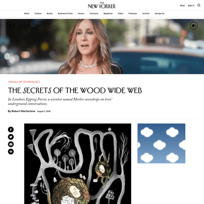 The Secrets of the Wood Wide Web