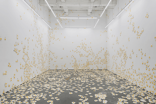 Christopher Chiappa, 2016, 7,000 Fried Eggs