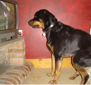 ted-watching-tv-cropped.jpg