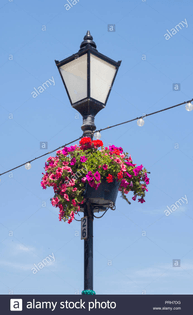 traditional-lamp-post-decorated-with-hanging-basket-of-flowers-and-with-string-of-electric-lights-penarth-sea-front-south-wa...