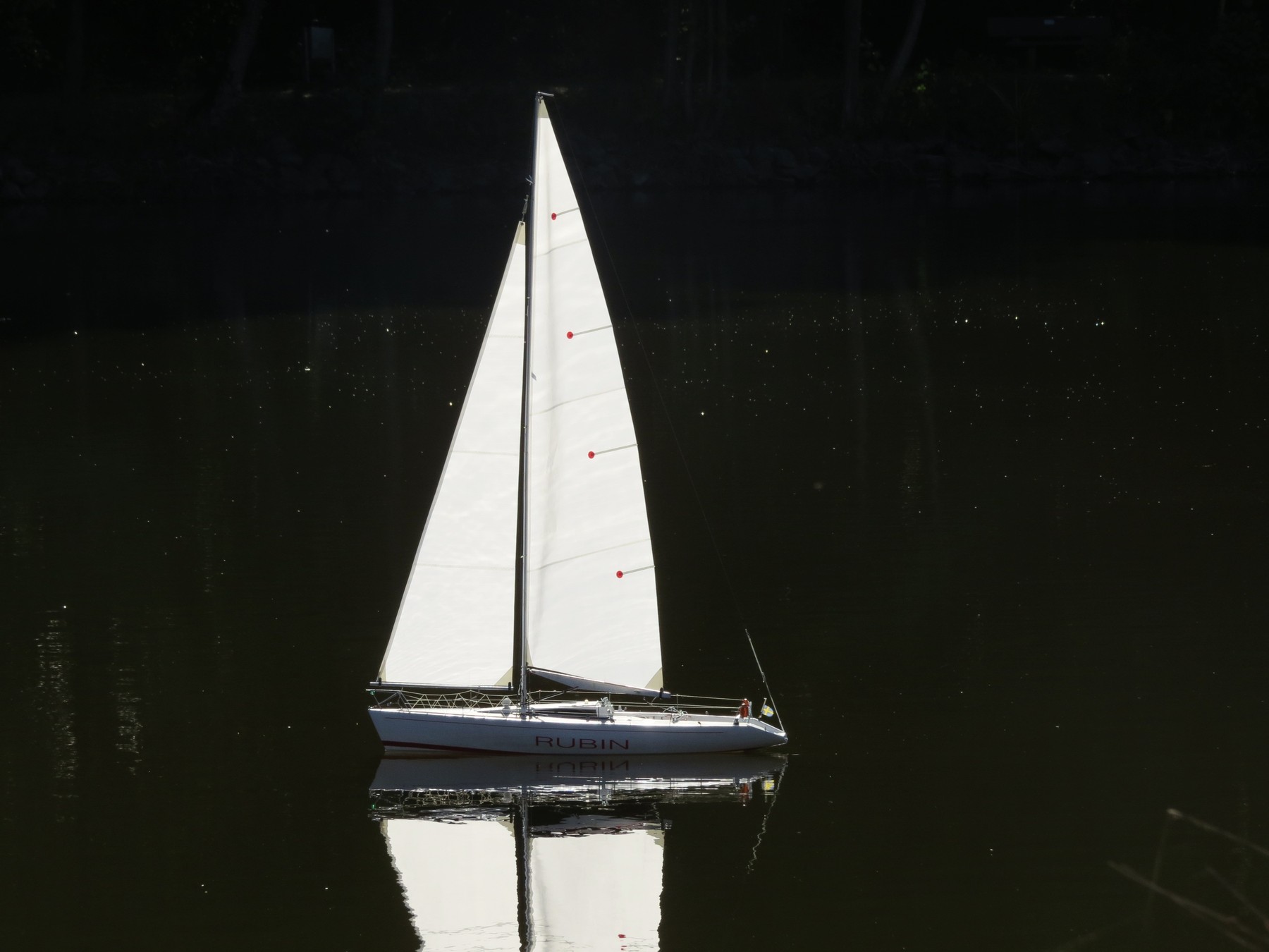 sailing-boat-3712180.jpg