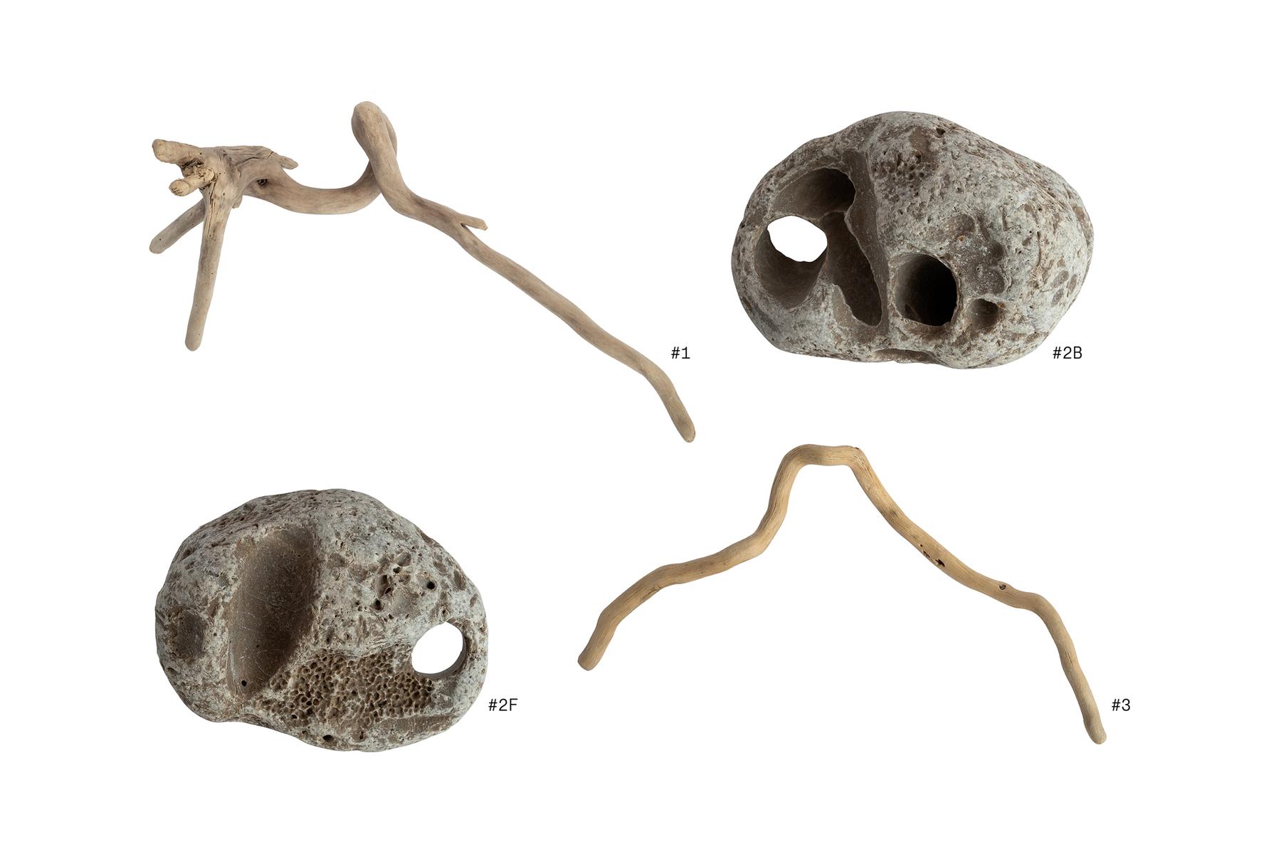 art, object, nature, rock, wood, gallery