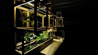 Plant-In City: Architecture and Technology for Plants.
