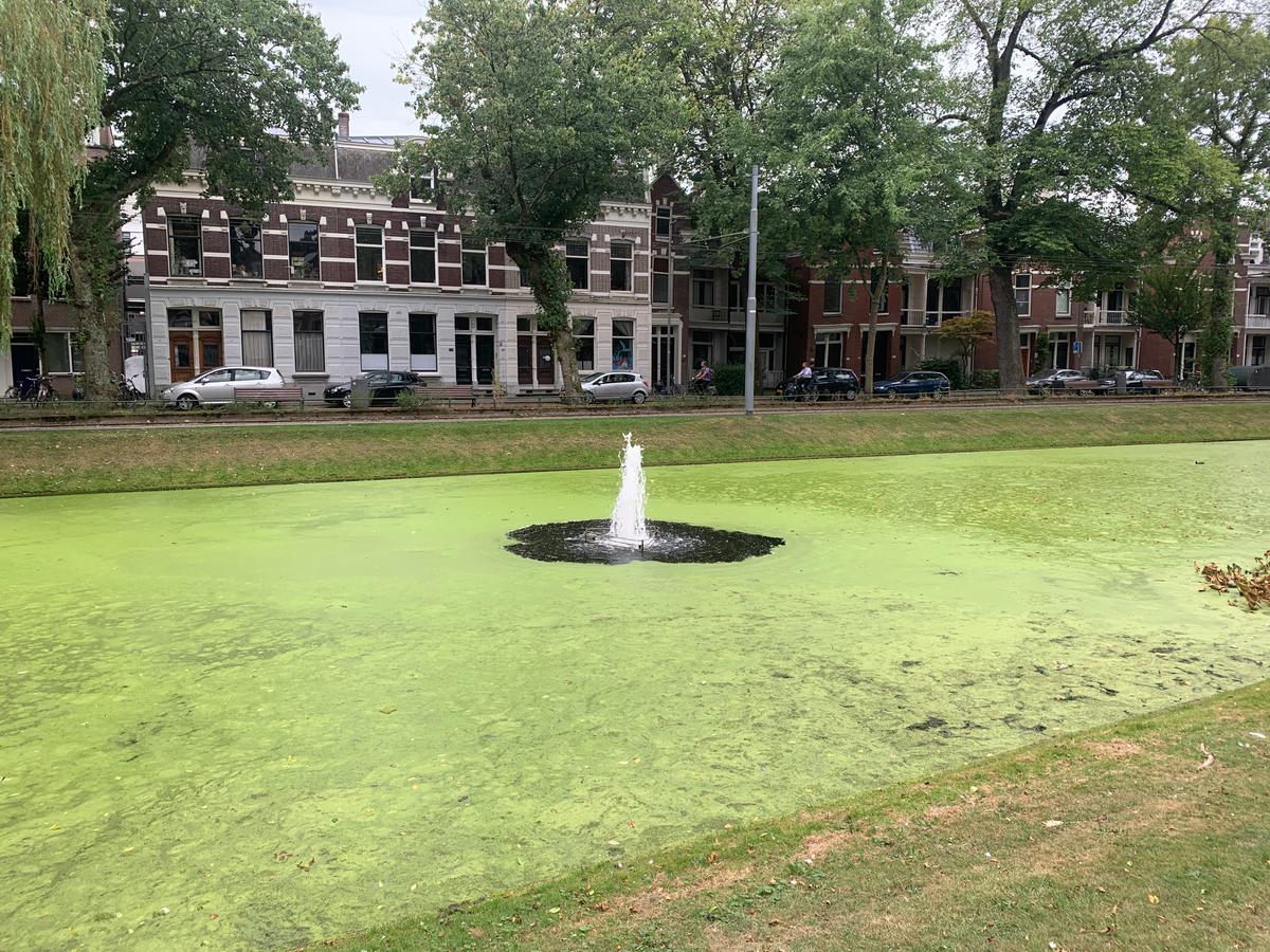 b0eaac3b-7680-4d8c-898c-d8f140a9559a