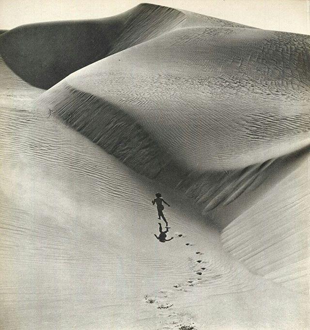 andré de dienes, 1950
