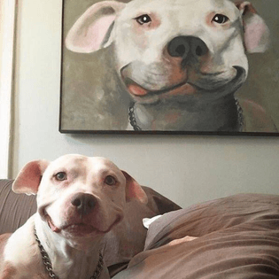 dog | painting of dog