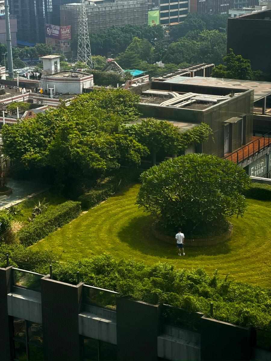 有人在对面楼顶的花园晒太阳