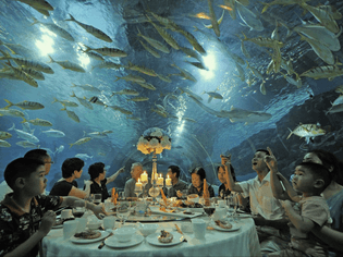 underwater-dining.jpg