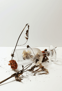 projects_image_970_0_c801b819f3ff683c0ecd6964a3981e53.jpg