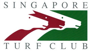 singapore-turf-club-6c07e66ea46a73d6016552828b498e06.jpg