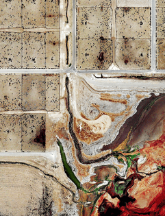 coronado-feeders-dalhart-texas-2012-detail.jpg