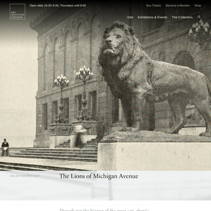 The Lions of Michigan Avenue | The Art Institute of Chicago