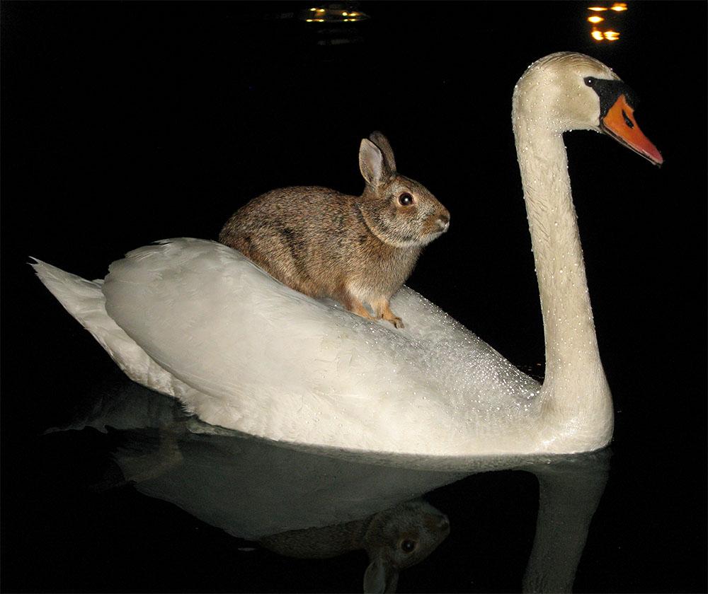 tumblr_lt0x1jNXph1qatngjo1_1280.jpg