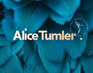 Alice Tumler branding.