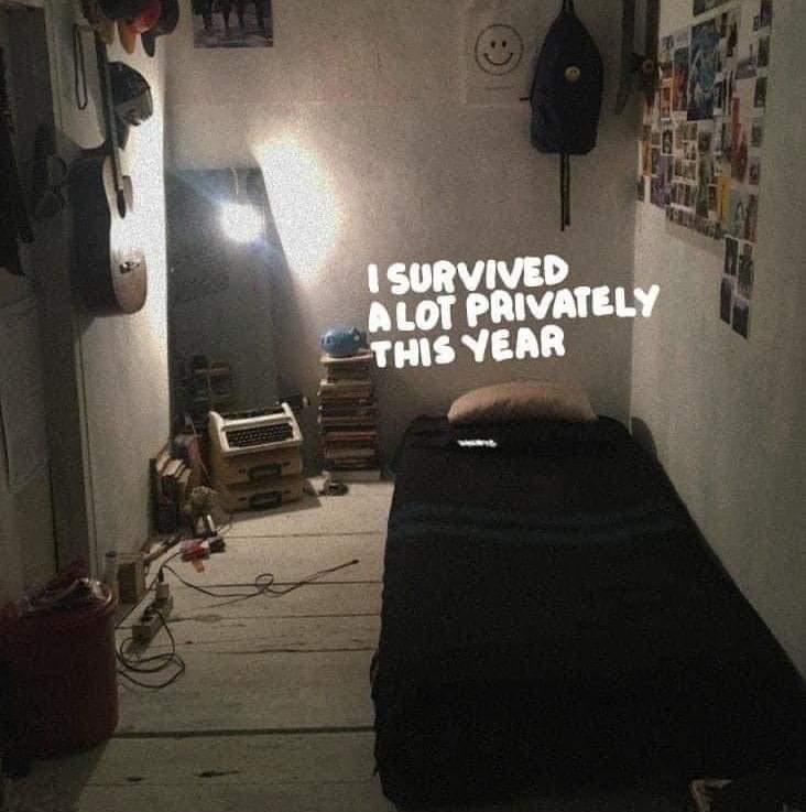 I survived a lot privately this year