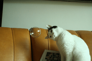tumblr_m5u9djrxjj1qzzfgmo1_640.jpg