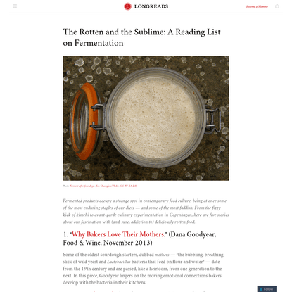 The Rotten and the Sublime: A Reading List on Fermentation