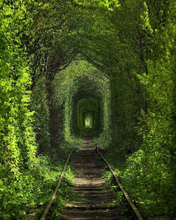 the-tunnel-of-love.jpg