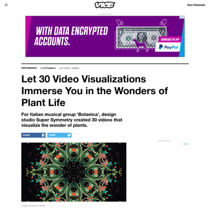 Let 30 Video Visualizations Immerse You in the Wonders of Plant Life