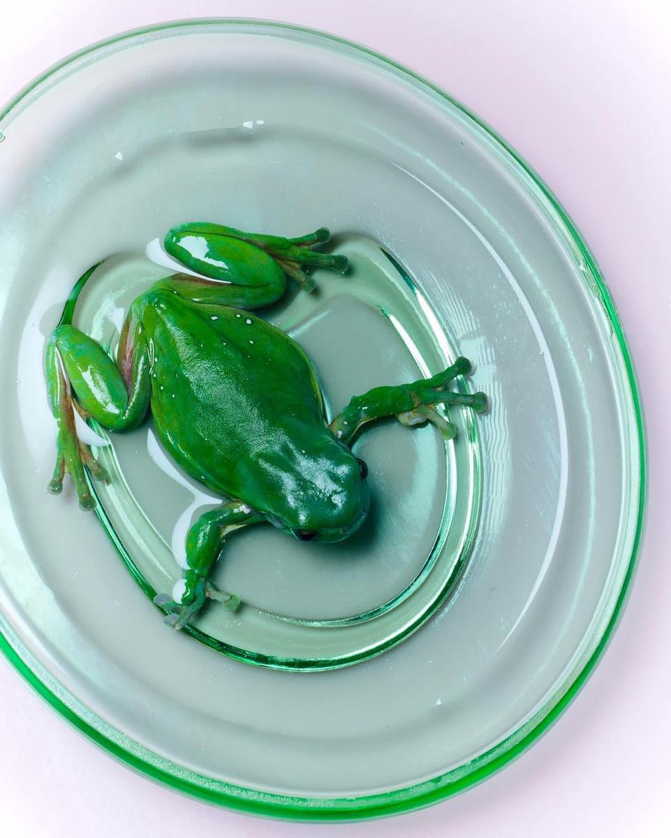 450309621_18444495901047827_4383218791916085350_n.jpg?stp=dst-jpg_e35_p1080x1080_tt7-efg=eyj2zw5jb2rlx3rhzyi6imltywdlx3vybgd...