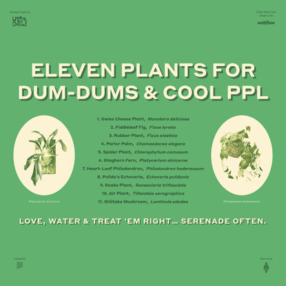 Eleven Plants for Dum-Dums &amp; Cool Ppl