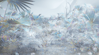 a53b6b73301635.5c0560fc00f6e.jpg