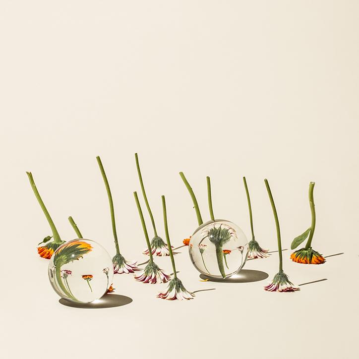 suzannesaroff-photography-itsnicethat.jpg?1531143771