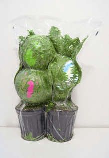 Lamp-design-2-2011.-.jpg