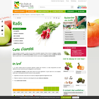 Le radis : présentation, production, consommation - Interfel - Les fruits et légumes frais